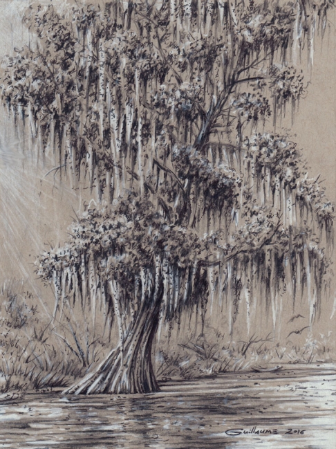 Southern Cypress